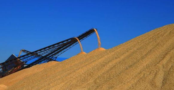 我国稻谷小麦库存可满足一年消费需求